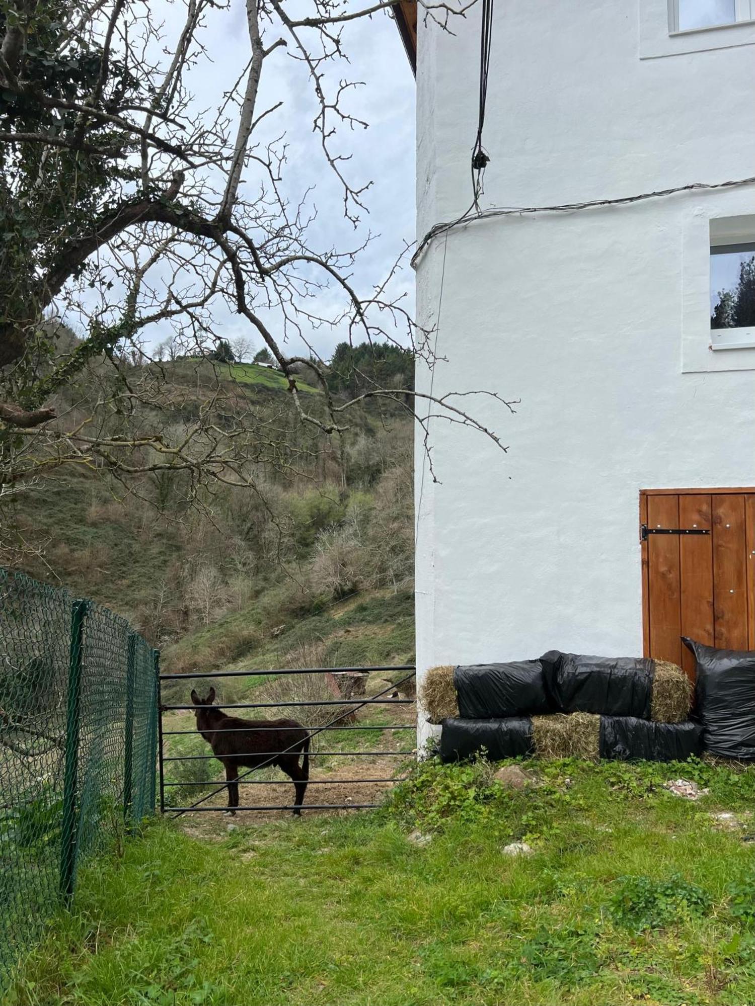 Fantastico Retiro Rural En El Corazon De Euskadi Apartman Elgoibar Kültér fotó